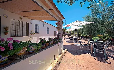 Las Calveras en La Puebla de los Infantes (Sevilla) - Foto 6