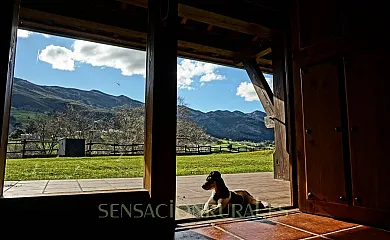 Las Casas del Bosque en Boquerizo (Asturias) - Foto 15