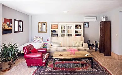 HEARTS & PONIES Apartamentos con piscinas privadas de invierno y verano y suites con jacuzzis en Chinchón (Madrid) - Foto 7