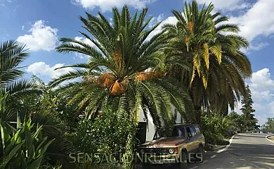 Cortijo La Huerta en Alcalá la Real (Jaén) - Foto 1