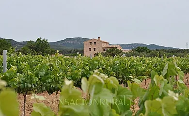 Mas Rossell en El Pla de Santa Maria (Tarragona) - Foto 20