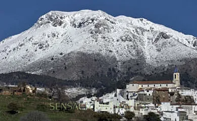 Casa Rural Colmena en Yunquera (Málaga) - Foto 20