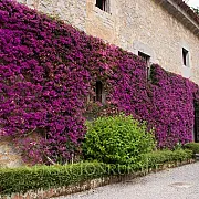 Casona de la Calleja 001