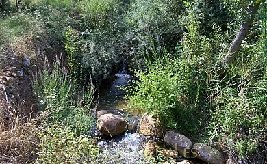 Cortijo Andrés-Trujala en Segura de la Sierra (Jaén) - Foto 21