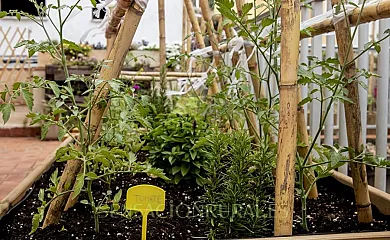 LA CAMBRA CASA RURAL 5* & Spa en Potries (Valencia) - Foto 21