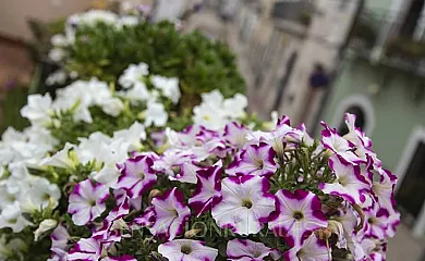 LA CAMBRA CASA RURAL 5* & Spa en Potries (Valencia) - Foto 22