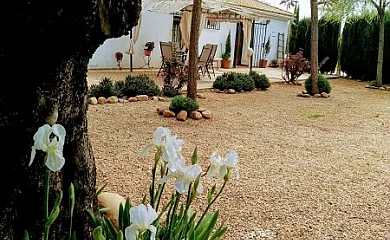 Casa del Abuelo Jose. Alojamiento rural en Marmolejo (Jaén) - Foto 1