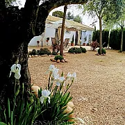 Casa del Abuelo Jose. Alojamiento rural 001