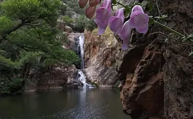 CASA RURAL NAVALACEDRA en Aldeaquemada (Jaén) - Foto 17