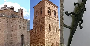 Casa Rural Huerta del Pelicano 003