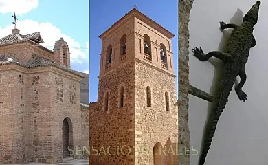 Casa Rural Huerta del Pelicano en Viso Del Marques (Ciudad Real) - Foto 3