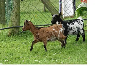 Apartamentos La Quintana de Romillo en Arriondas (Asturias) - Foto 25