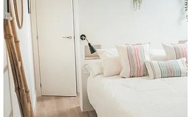 La buganvilla en Valdelaguna (Madrid) - Foto 7