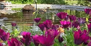 Casa rural Villamarquesa 002