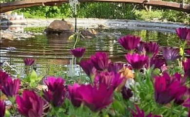 Casa rural Villamarquesa en Blanca (Murcia) - Foto 2