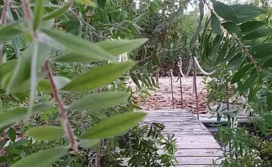 Casa rural Villamarquesa en Blanca (Murcia) - Foto 4