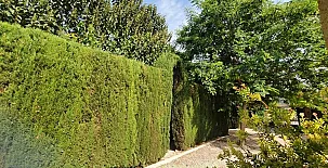 Casa rural Villamarquesa 005