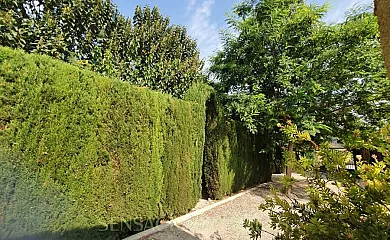 Casa rural Villamarquesa en Blanca (Murcia) - Foto 5