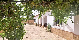 Casa Rural La Sombra de la Parra 005