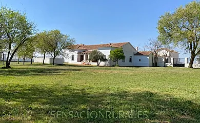 Casa La Regidora en Alcázar de San Juan (Ciudad Real) - Foto 1