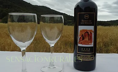 Casa Felisa en Santa Eulalia de Gállego (Huesca) - Foto 10