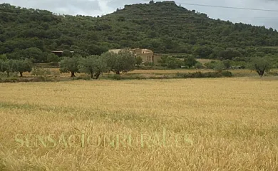 Casa Felisa en Santa Eulalia de Gállego (Huesca) - Foto 12