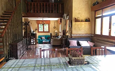 PALEOLÍTICO RURAL en Salgüero de Juarros (Burgos) - Foto 13