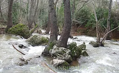 Casa Rural La Andalusí en Cazalla de la Sierra (Sevilla) - Foto 13