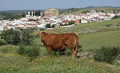 Casa Rural La Andalusí en Cazalla de la Sierra (Sevilla) - Foto 16