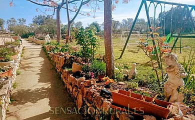 Mas del Pi en El Perelló (Tarragona) - Foto 8