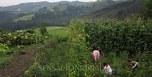 Agroturismo Sarasola Zahar 003