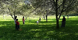 Agroturismo Sarasola Zahar 004