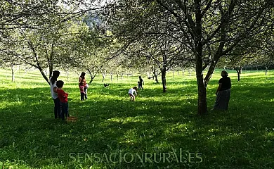 Agroturismo Sarasola Zahar en Aizarnazabal (Guipuzcoa) - Foto 4