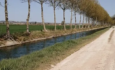 Ca la Providència en Tornabous (Lleida) - Foto 6