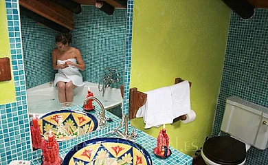 Hotel Rural Abejaruco en Cuevas Del Valle (Ávila) - Foto 25