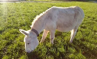 Casa Rural Azkue en Aia (Guipuzcoa) - Foto 18