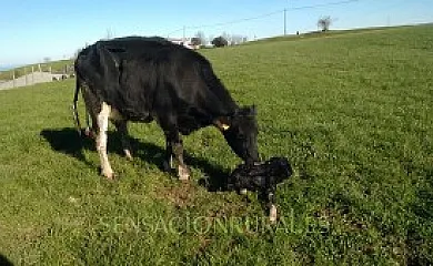 Casa Rural Azkue en Aia (Guipuzcoa) - Foto 19