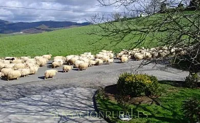 Casa Rural Azkue en Aia (Guipuzcoa) - Foto 20