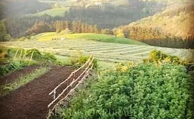 Agroturismo Sarasola Zahar en Aizarnazabal (Guipuzcoa) - Foto 14