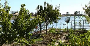 Barraca de Joanet de Pataco 005