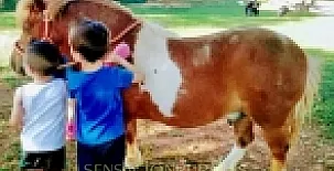 Casa Los Jabones 0018