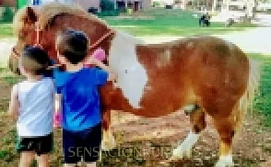 Casa Los Jabones en El Robledo (Ciudad Real) - Foto 18