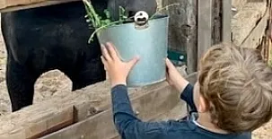 Casa Los Jabones 0019