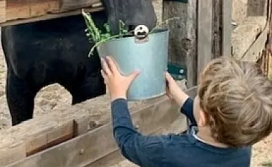 Casa Los Jabones en El Robledo (Ciudad Real) - Foto 19