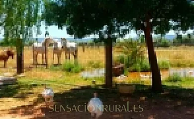 Casa Los Jabones en El Robledo (Ciudad Real) - Foto 20