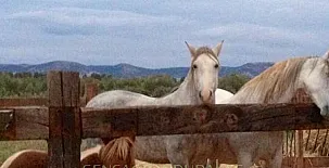 Casa Los Jabones 0022