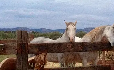 Casa Los Jabones en El Robledo (Ciudad Real) - Foto 22