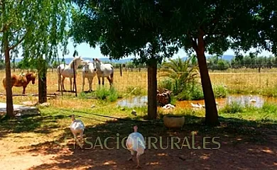 Casa Los Jabones en El Robledo (Ciudad Real) - Foto 23