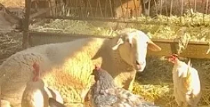 Casa Los Jabones 0024