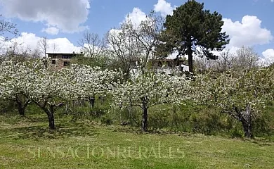 Casa Rural Arbillas en Arenas de San Pedro (Ávila) - Foto 9